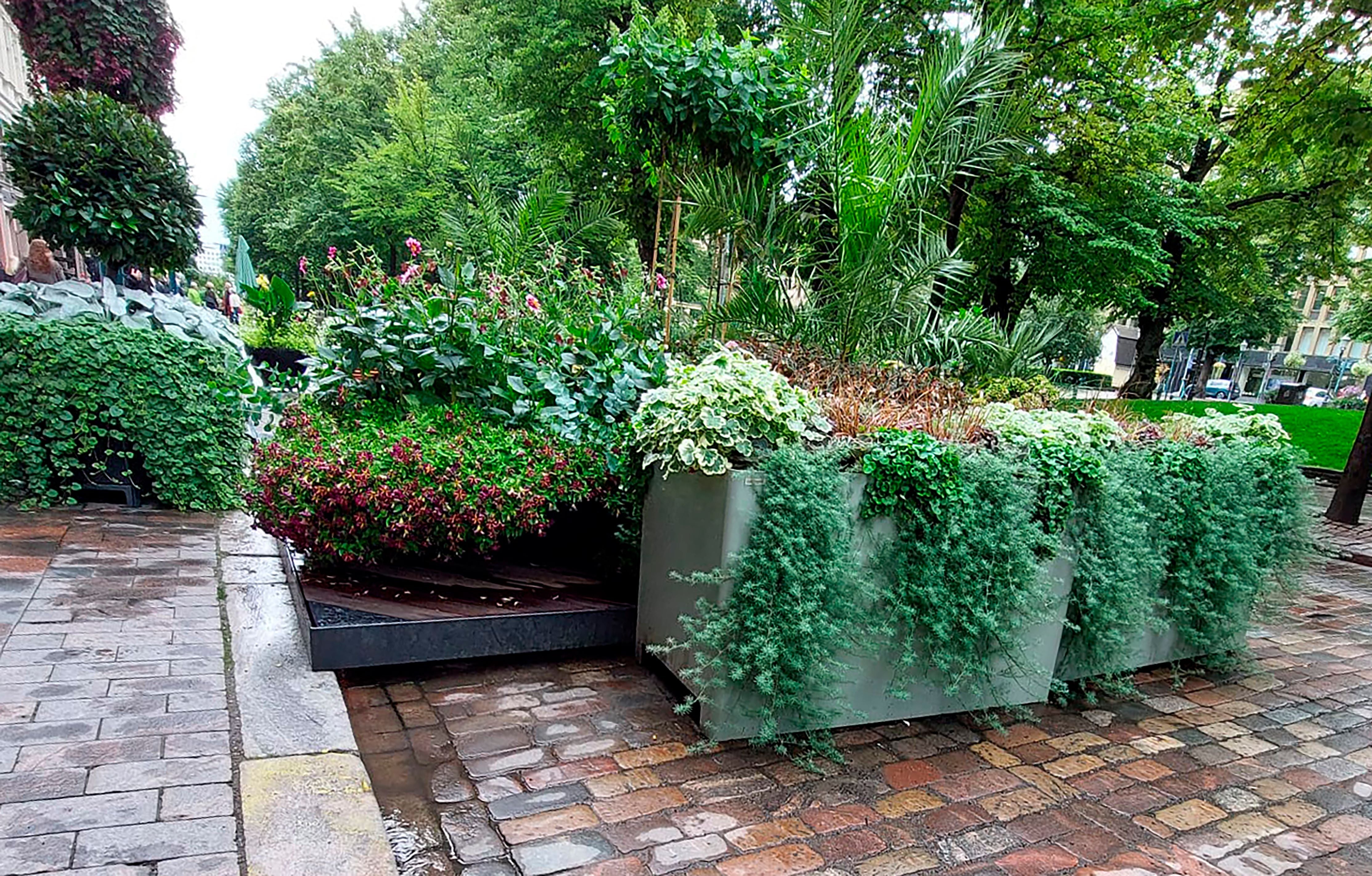 Lehtovuoren istutusaltaat Helsingin Esplanadin kävelykadulla