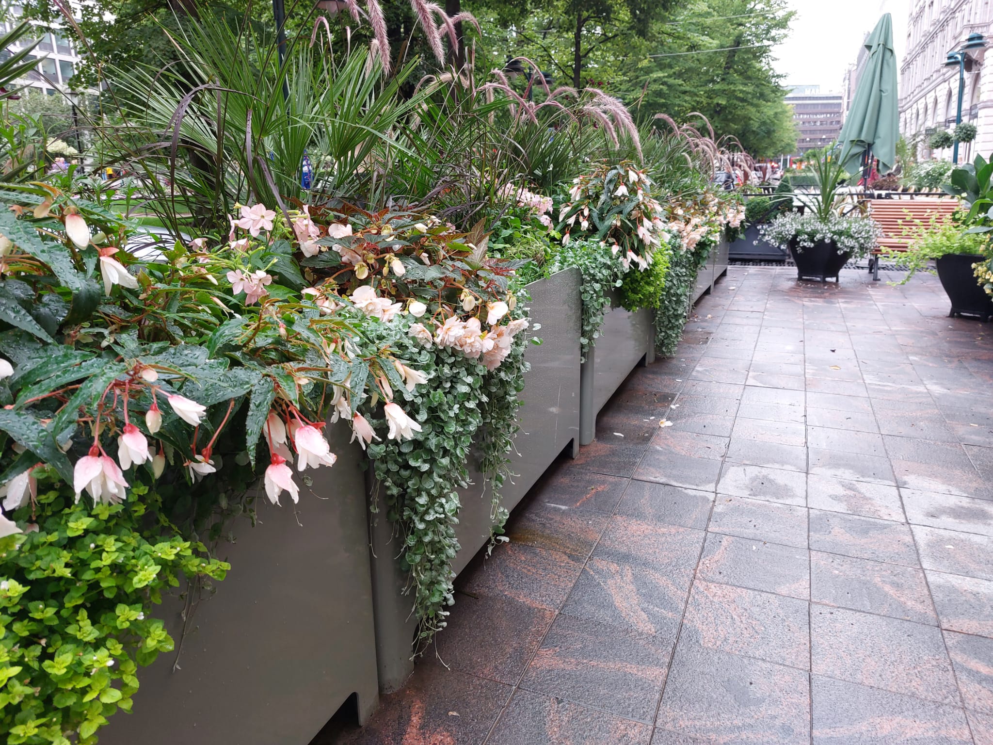 Lehtovuoren suunnittelemat ja valmistamat istutusaltaat Helsingin Espalla