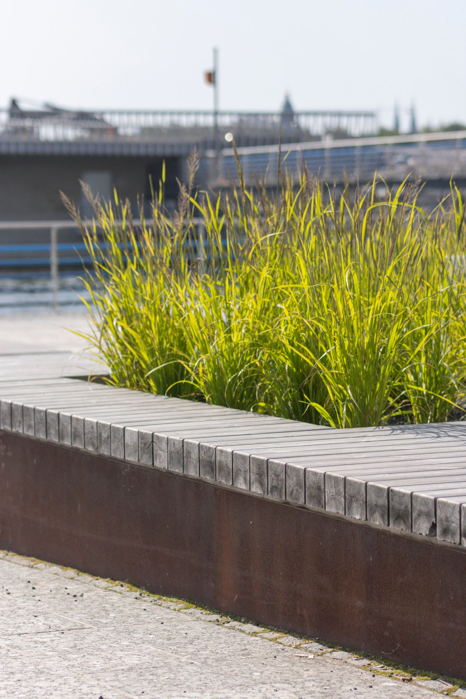 Helsingin Kalasataman jättipenkit istutusaltailla