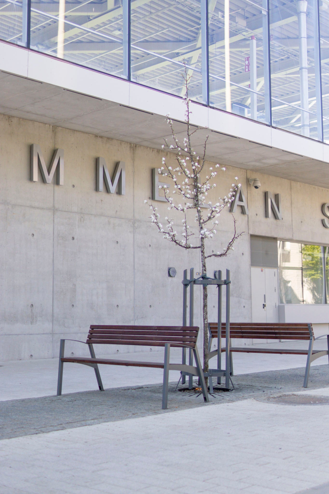 mmcitén Vera-puupenkit Tammelan Stadionin edessä