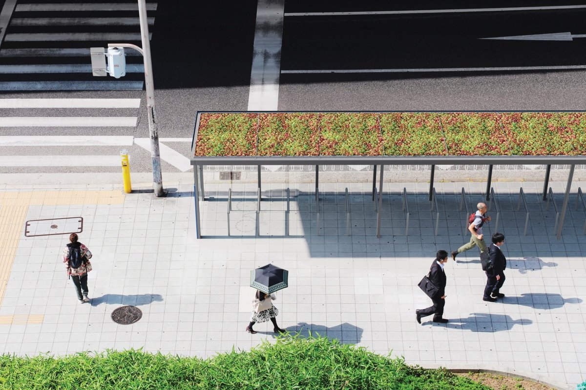 Pyöräkatos mmcité Aureo Velo AE - V610 - 02 - SS AE-V610-SS-202400-ral1000 - Lehtovuori