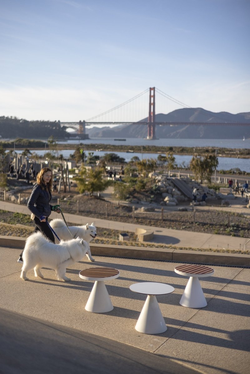 Tuoli mmcité Conics CON112t CON112 - 202001 - ral1000 - 1 - Lehtovuori